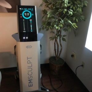 BTL AESTHETICS EMSCULPT 2PADDLES