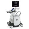 GE Vivid E95 Ultrasound